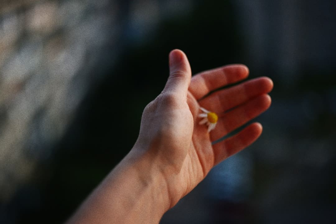 梧桐妹晒妈妈比基尼辣照!贾静雯自侃回应